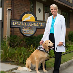 Woodhaven animal fashion clinic