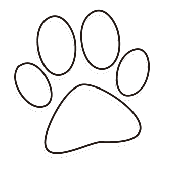 paw